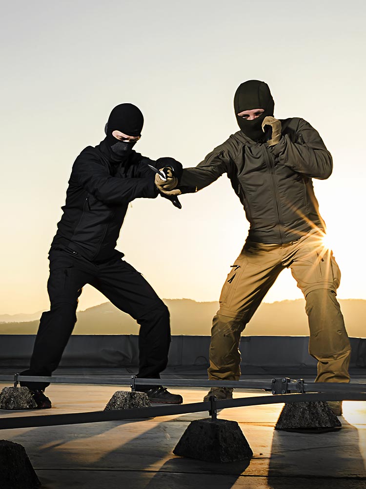 Learn handtohand combat techniques UF PRO